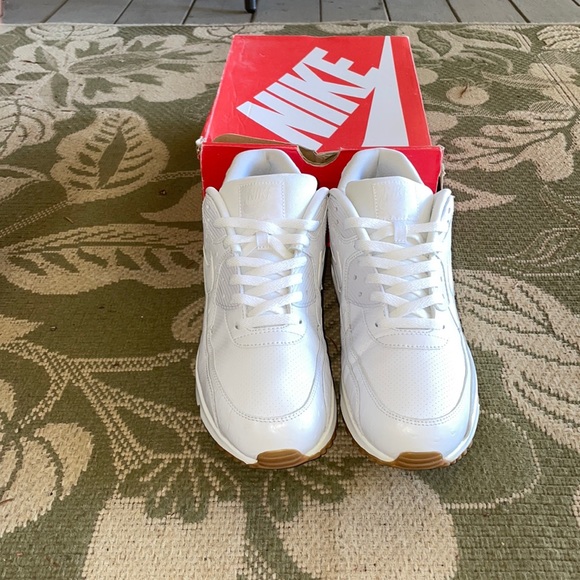Nike Other - Nike Air Max 90 Leather PA (Ostrich Pack)